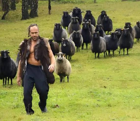 Widok rancza Daniel Barłóg – owce na tle beskidzkich wzgórz