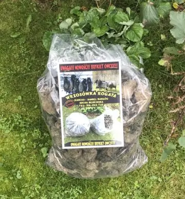 Brykiet opałowy naturalny – zdjęcie produktu nr 1