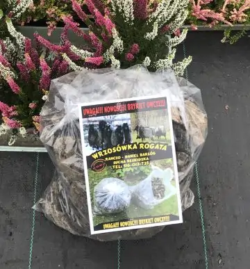 Brykiet opałowy naturalny – zdjęcie produktu nr 2