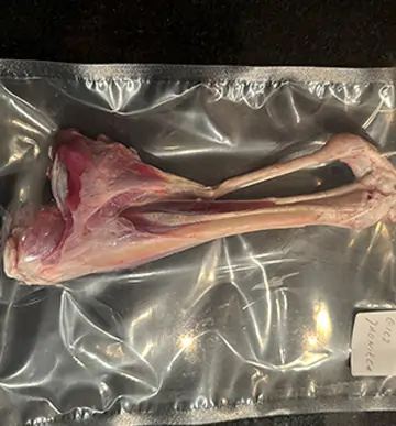 Widok mięsa baraniego