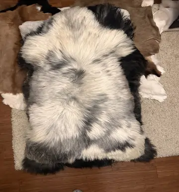 Skóry owcze – zdjęcie produktu