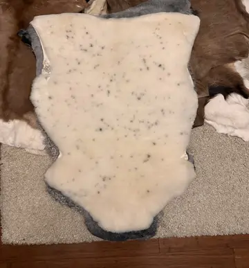 Skóry owcze – zdjęcie produktu